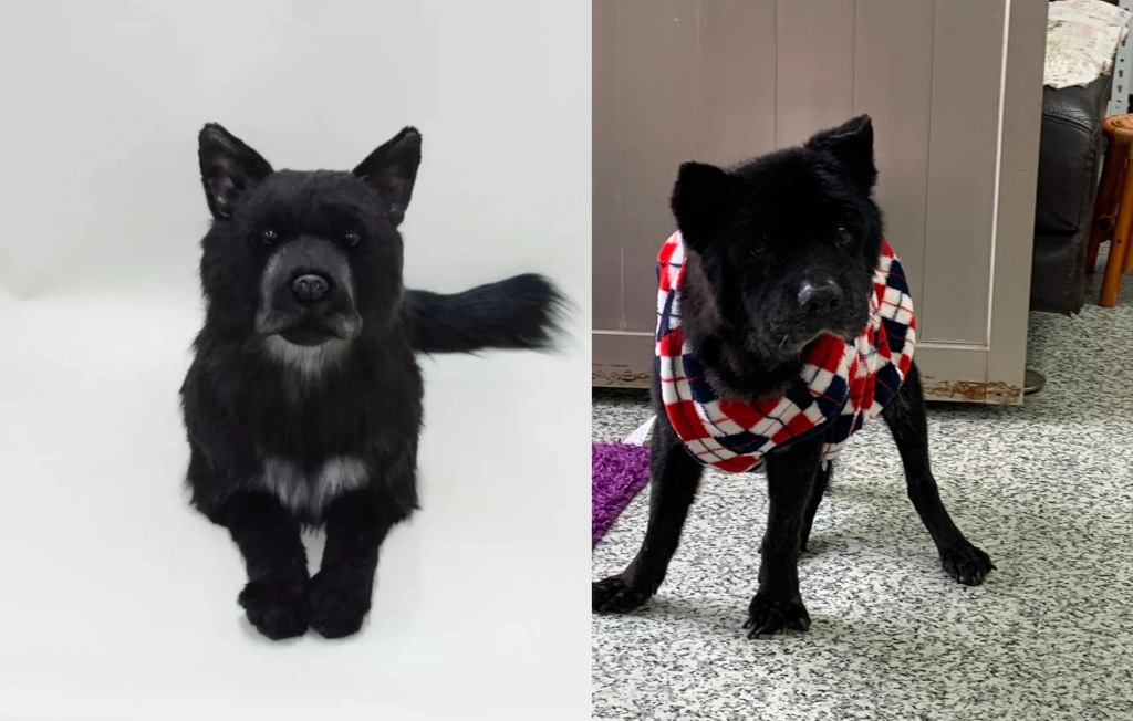 How much does a life-size custom pet replica cost?