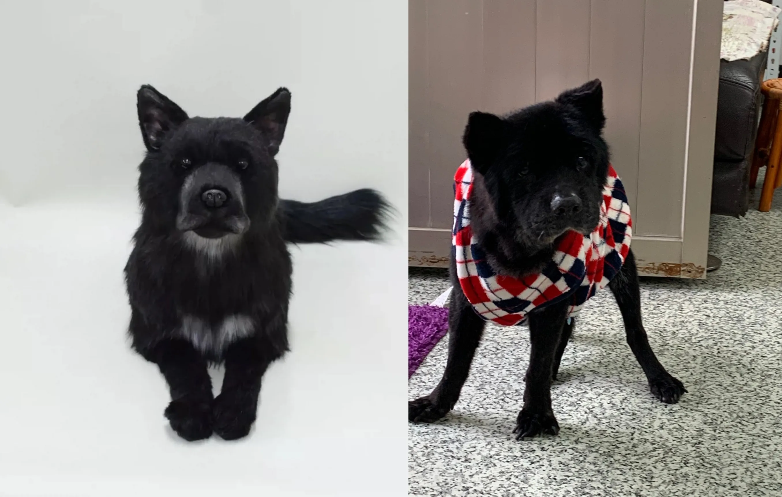 How much does a life-size custom pet replica cost?